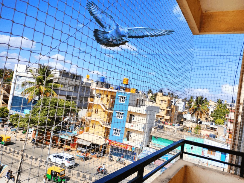 Pigeon nets installation Chennai